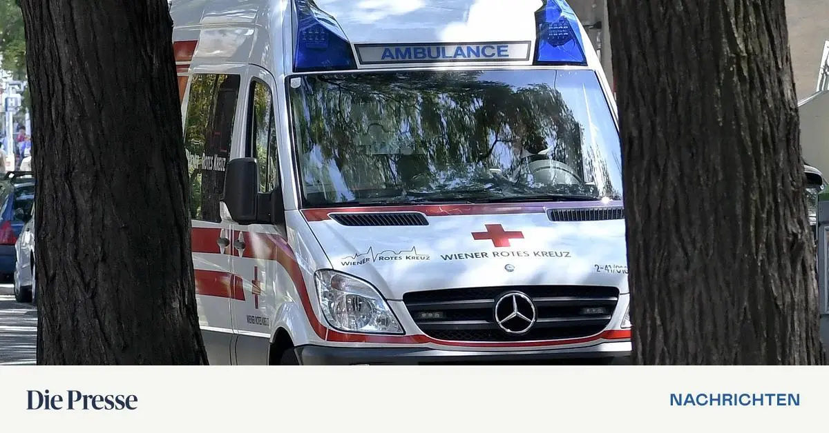 82-J-hriger-schie-t-in-Ober-sterreich-auf-Enkelin