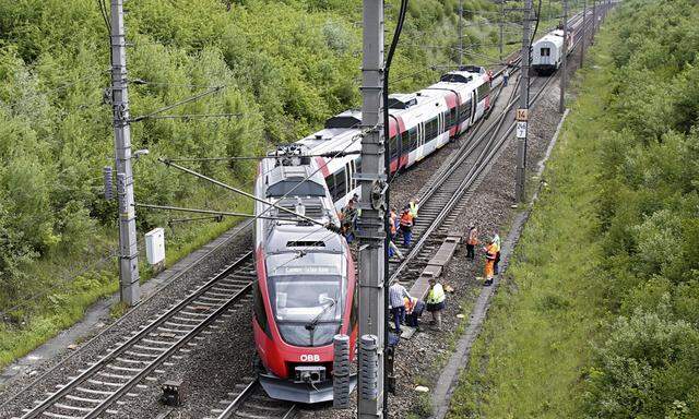 Der entgleiste Zug auf der Westbahnstrecke.