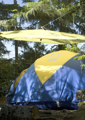 Campsite on Gibraltar Island Broken Island Group Pacific Rim National Park Preserve British Colum
