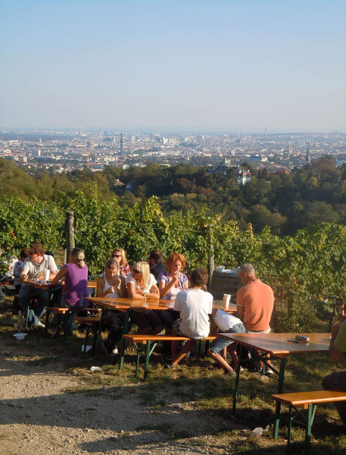 >>Mehr Bilder vom Wiener Weinwandertag