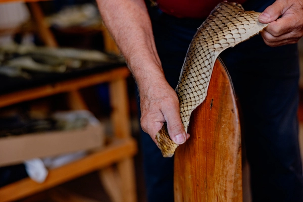 Handwerk und Manufaktur im Waldviertel: Yupitaze erzeugt Fischleder.