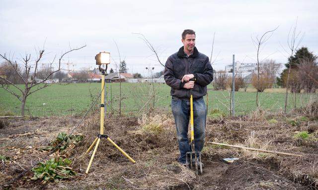 Martin Freimüller hat neben seiner Brombeerplantage im Donaufeld den seltenen Knollenziest angebaut. Da dessen Ernte so aufwendig ist, zählt er zu den teuersten Gemüsesorten.