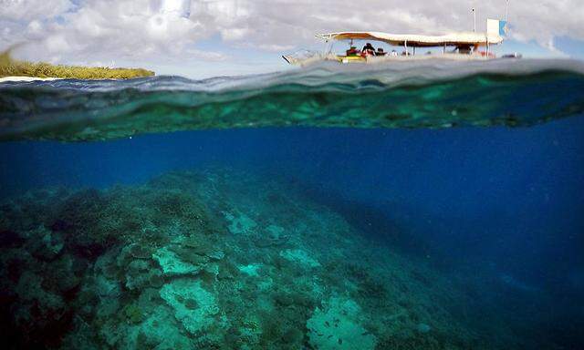 Das Great Barrier Reef vor der Ostküste Australien landet vorerst nicht auf der Liste der gefährdeten Weltnaturstätten.