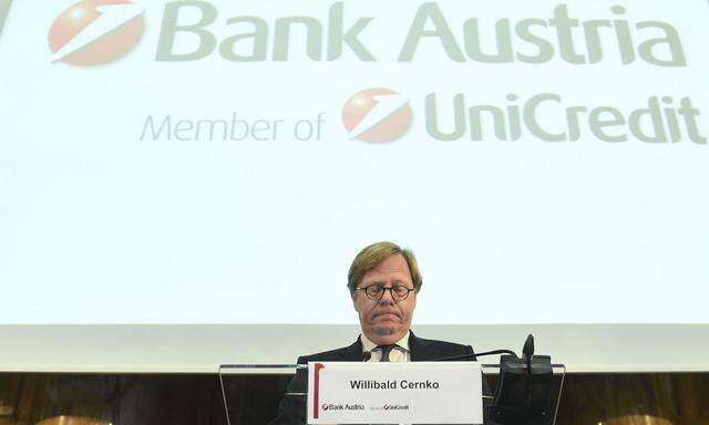PK BANK AUSTRIA 'JAHRESERGEBNIS 2013': CERNKO