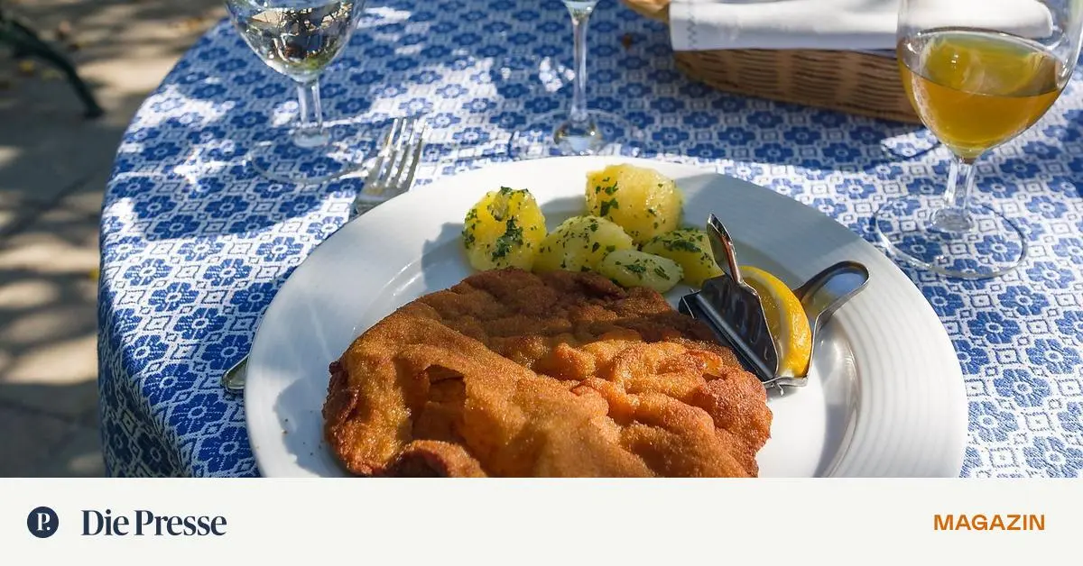 Nichts Wird So Heiß Gegessen Wie Es Gekocht Wird Niederösterreich: Es wird nicht so heiß gegessen wie gekocht