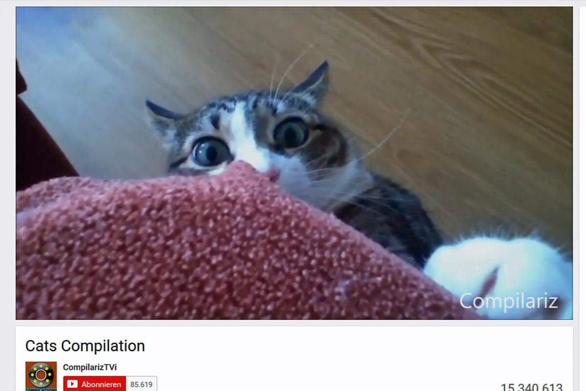 Siehst du dir im Internet Katzenvideos an?              