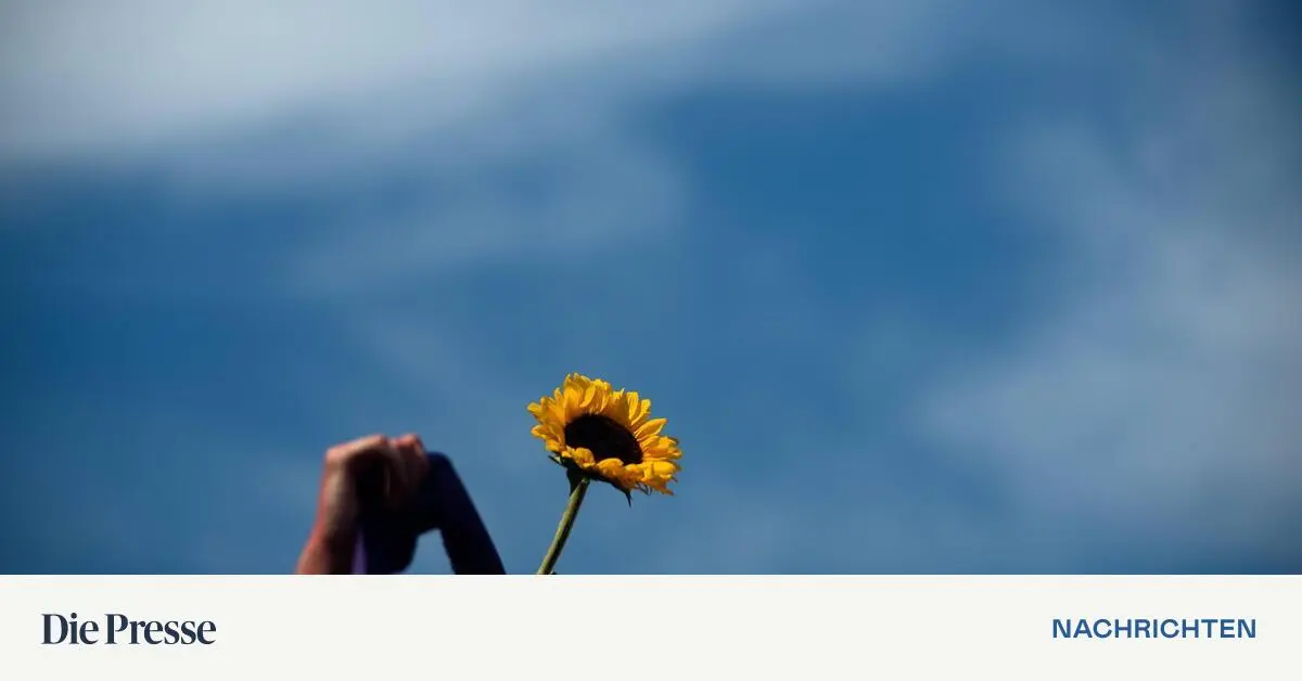 Vier Frauen täglich: Brasilien meldet so viele Femizide wie noch nie Kép