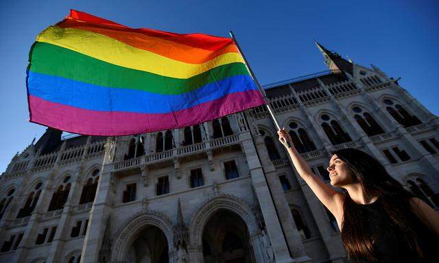 Protest against latest anti-LGBTQ law in Budapest