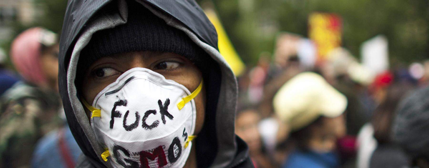 A demonstrator takes part in a protest against U.S.-based Monsanto Co. and genetically modified organisms (GMO), in New York