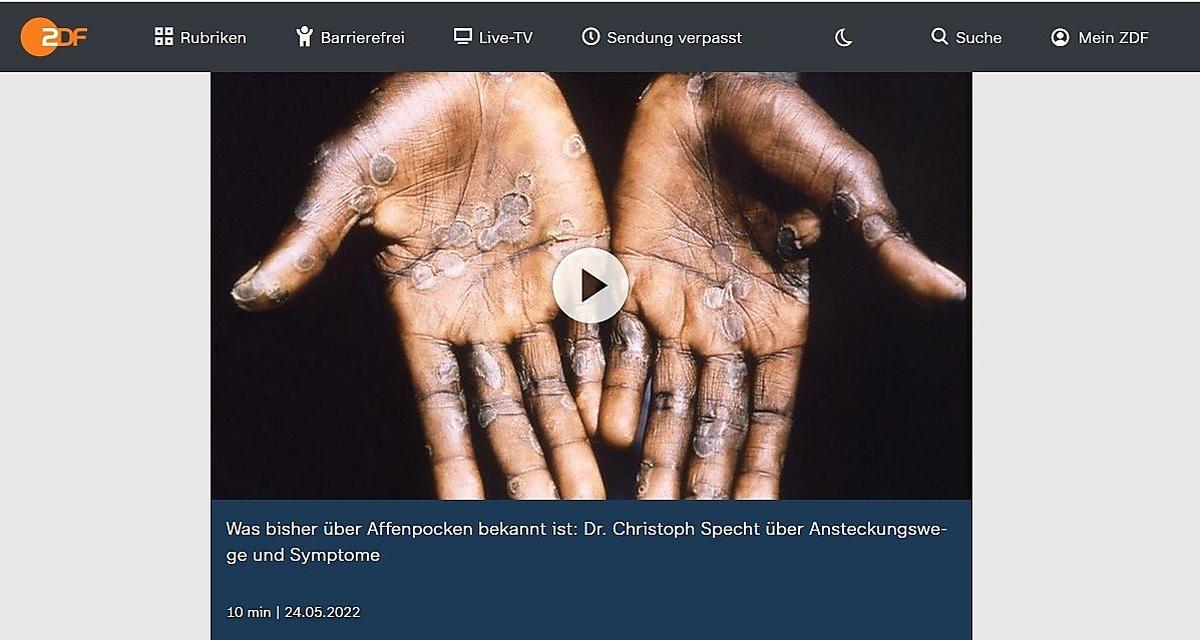 Ein Screenshot vom einem Beitrag des "ZDF" zum Thema.