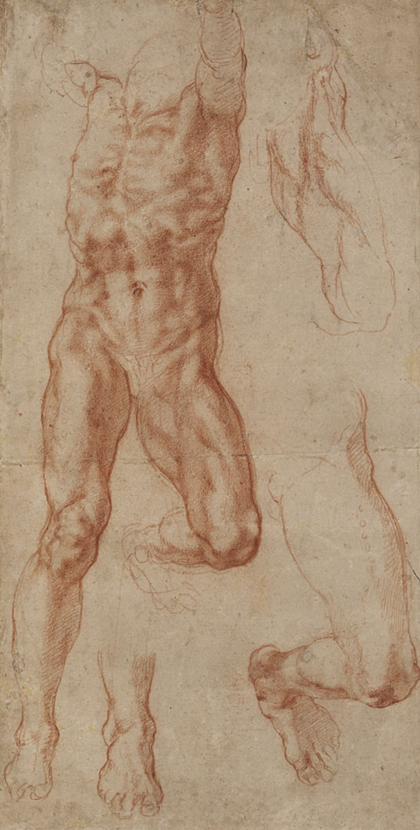 So werden viele der zahllos erscheinenden Bewegungsstudien männlicher Akte präsentiert, sowie Vorzeichnungen zu den Mediceer-Gräbern oder den revolutionären Fresken in der Sixtinischen Kapelle in Rom gezeigt. Im Bild: Vier Studien für die Figur des gekreuzigten Haman (Recto), um 1512 © The British Museum, London