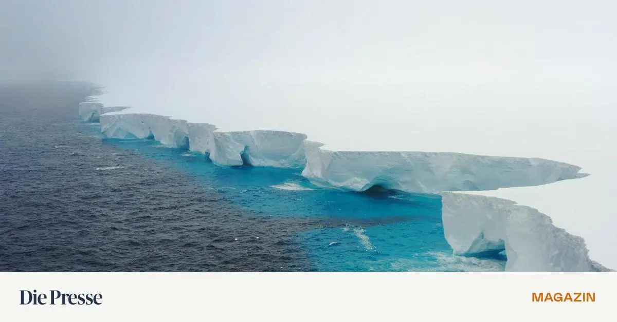 bringt-der-eiskoloss-a23a-den-tod-premium