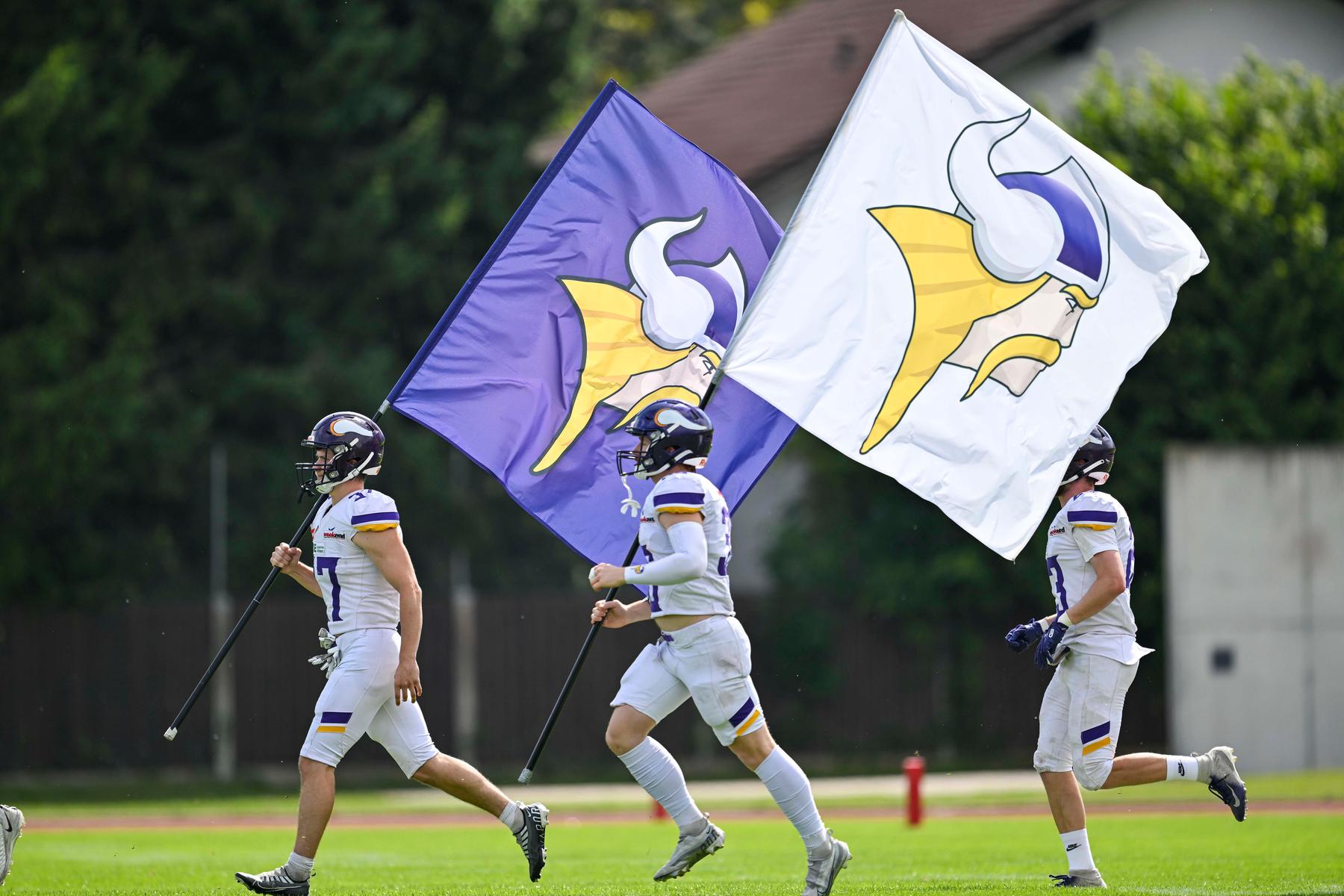Vienna Vikings verlieren nachträglich Meistertitel