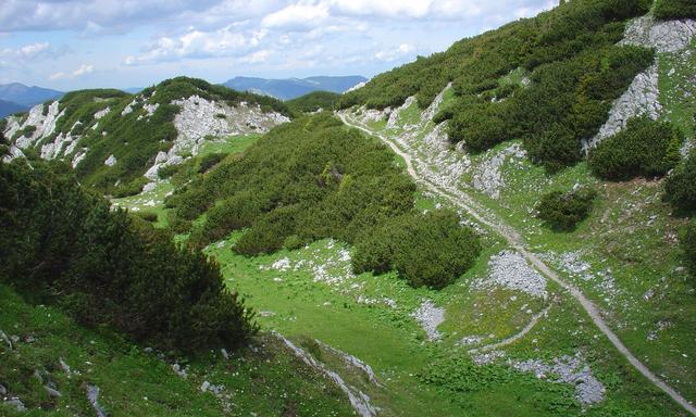 Wandern auf der Rax