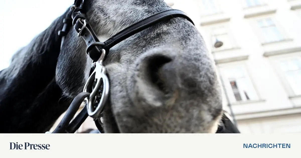 Rennweg-Gest-rztes-Fiakerpferd-blockiert-den-Verkehr