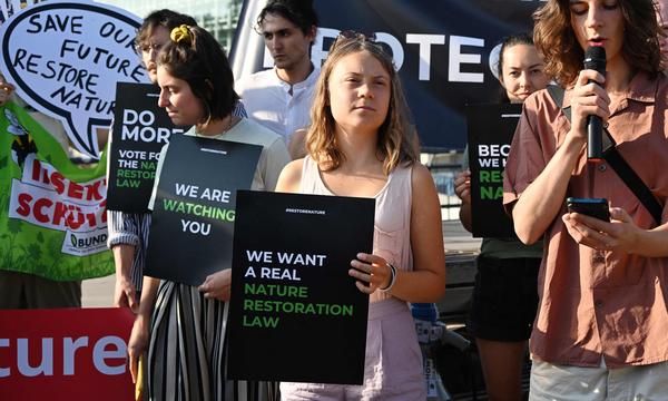 Die Klimaaktivistin Greta Thunberg demonstrierte am Dienstag in Straßburg für das Gesetz zur Renaturierung.