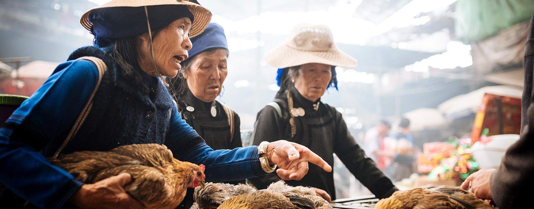 Markt in China: Nicht nur Hühner werden gehandelt, sondern auch Wildtiere wie Zibetkatzen und Schuppentiere.