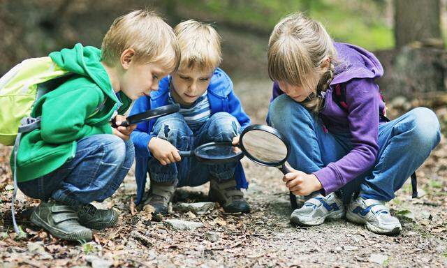 Besonders bei Kindern und Jugendlichen soll Interesse am Wald und an Zusammenhängen in der Natur geweckt werden. 