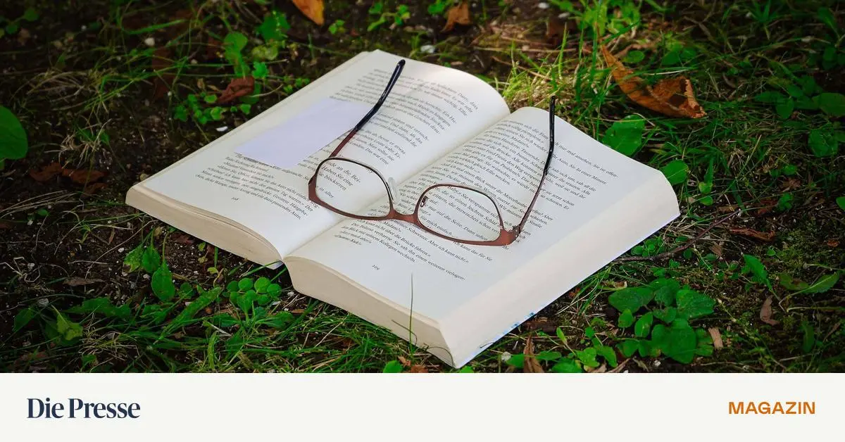 Klassiker-zum-Wiederentdecken-drei-B-cher-f-r-kalte-Novembertage