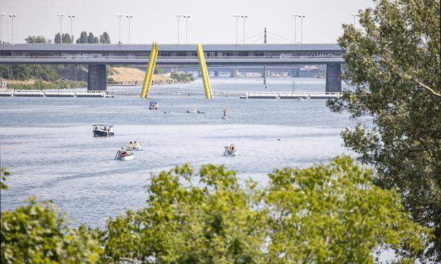 Ein Radfahrer entdeckte den leblosen Mann in der Donau treiben.