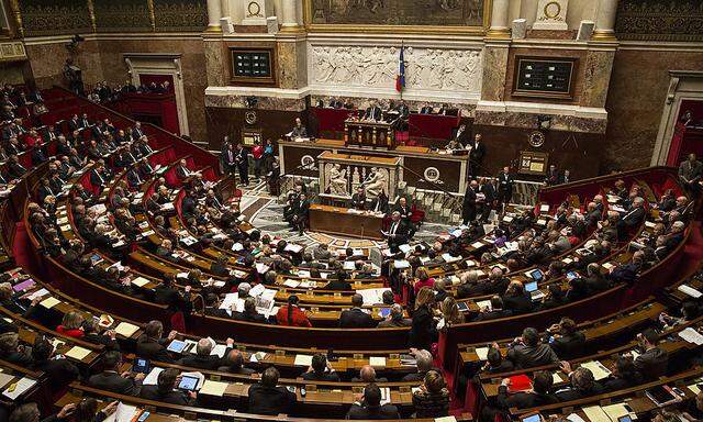 Das Parlament in Frankreich will Palästina als Staat anerkennen. Die Regierung muss der Entscheidung allerdings nicht folgen.