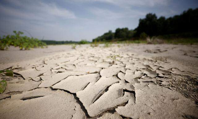 Der Po bei Ferrara im vergangenen Sommer - während der schlimmsten Trockenheit der  vergangenen 70 Jahre.