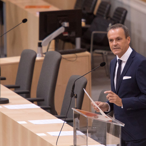 AUSTRIA - VIENNA - PARLIAMENT - MUELLER