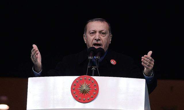 Erdogan: Türkei befindet sich in "neuem Unabhängigkeitskrieg"