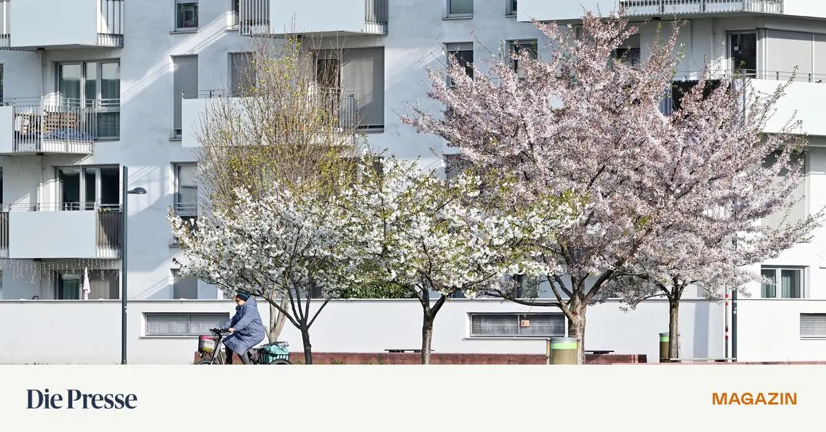 Wie-in-Wien-wieder-mehr-Wohnungen-entstehen-k-nnten-premium-