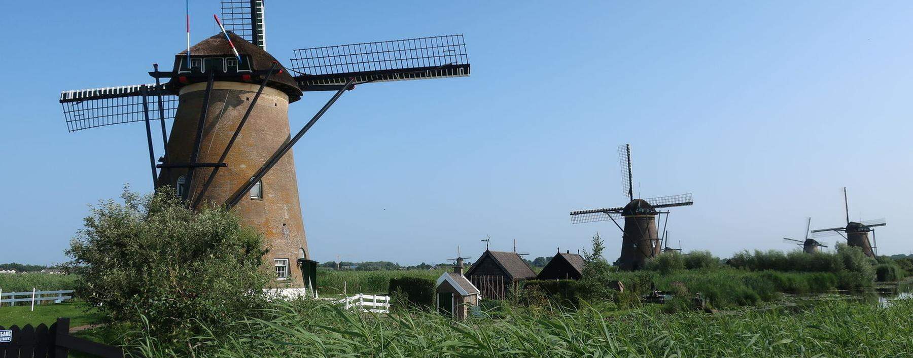 Radwegen führen zu Windmühlen wie etwa in Kinderdijk (Südholland).