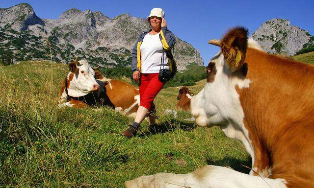 Wandern auf der Alm