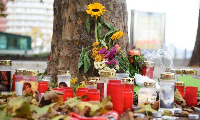 Die Mutter der 24-jährigen deutschen Kunststudentin, die bei dem Terroranschlag in der Wiener Innenstadt getötet wurde, klagt die Republik Österreich auf Schmerzengeld. Ab heute wird in Wien verhandelt.