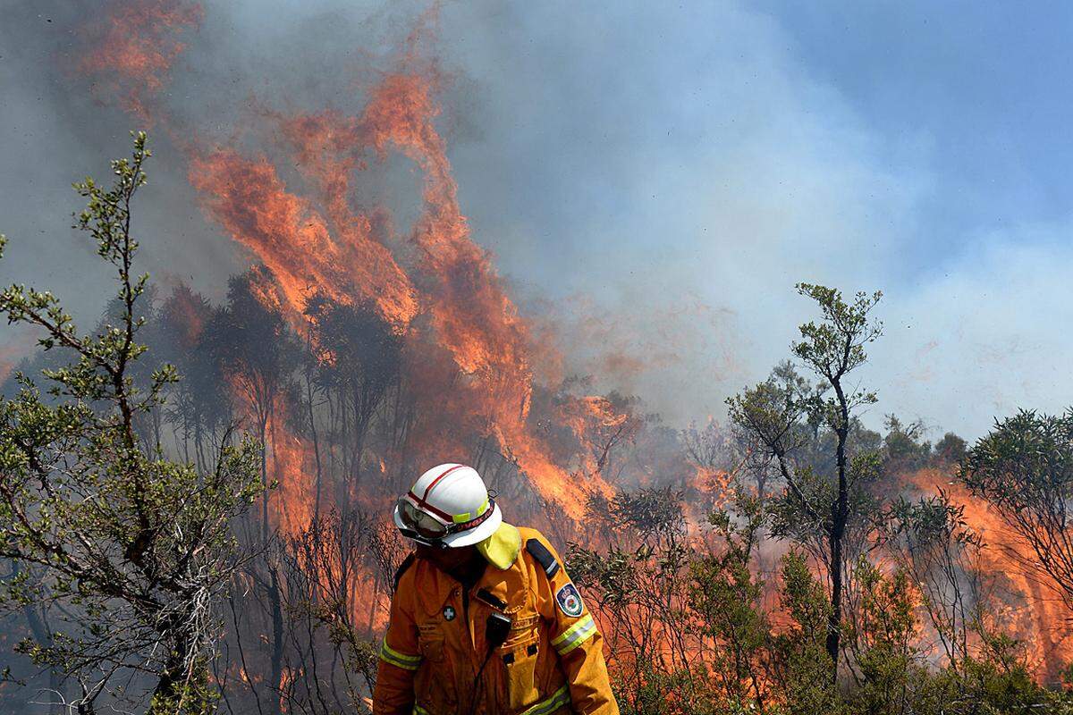 Hauptsorge am Montag war dann eine riesige Feuerwand westlich der Millionenmetropole: Diese drohte sich mit einem anderen Brand in den Blue Mountains zu einem "Mega-Feuer" zu vereinigen und auf Sydney zuzurollen.
