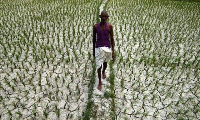 Zunehmende Dürre, wie hier in Indien, droht.