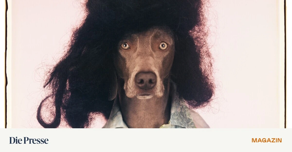 Foto-Stars-zum-Einstiegspreis-in-Mailand-premium-