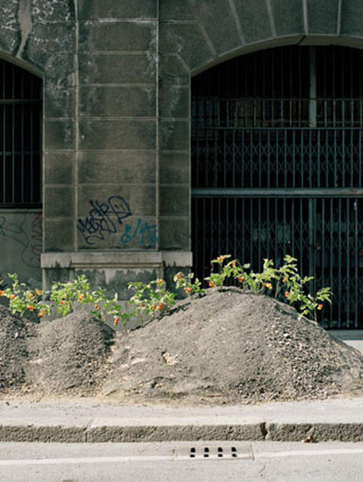 Die Schweizer Design-Geschwister Daniel und Markus Freitag, bekannt für Taschen aus LKW-Planen, beschäftigen sich mit Guerillataktiken zur Eroberungen des öffentlichen Raums. Ihre Schau zum Thema – „Urban Gardening“ zeigen sie nun auch in Wien.  Urban Gardening 1. Oktober, 19 Uhr, Eröffnung mit den Brüdern Freitag, Walking Chair Design Gallery, Rasumofskyg. 10, 1030 Wien.