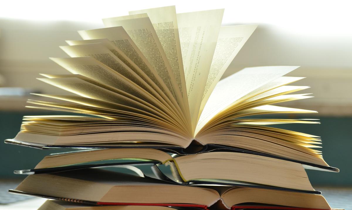 Für alle Buchvorstellungen gilt: Klicken Sie auf den Buchtitel in der ersten Zeile, dann kommen Sie zur Zusammenfassung!
