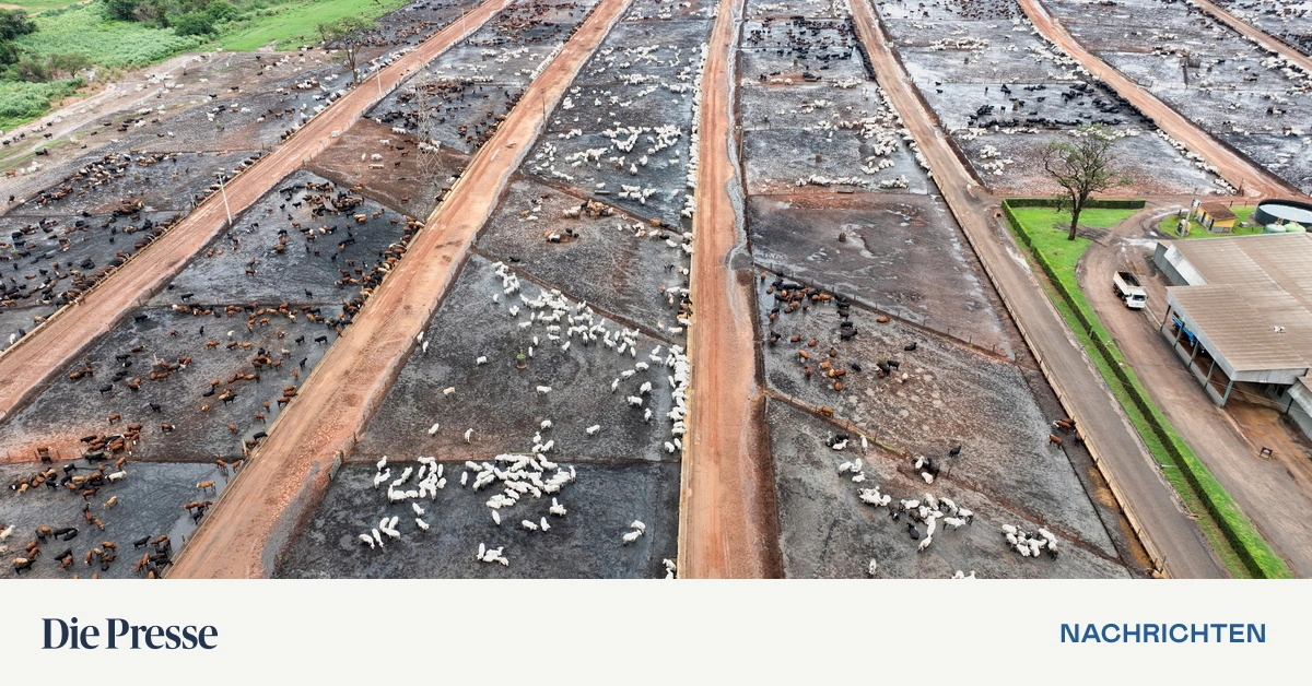 Brasilien-ratifiziert-Freihandelsabkommen-Mercosur