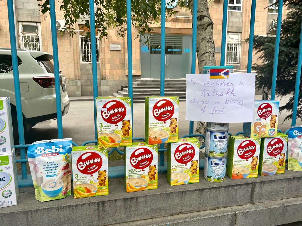 Auf einem Schild wird die Lieferung von Babynahrung für Arzach (armenischer Name von Berg-Karabach, Anm.) gefordert.