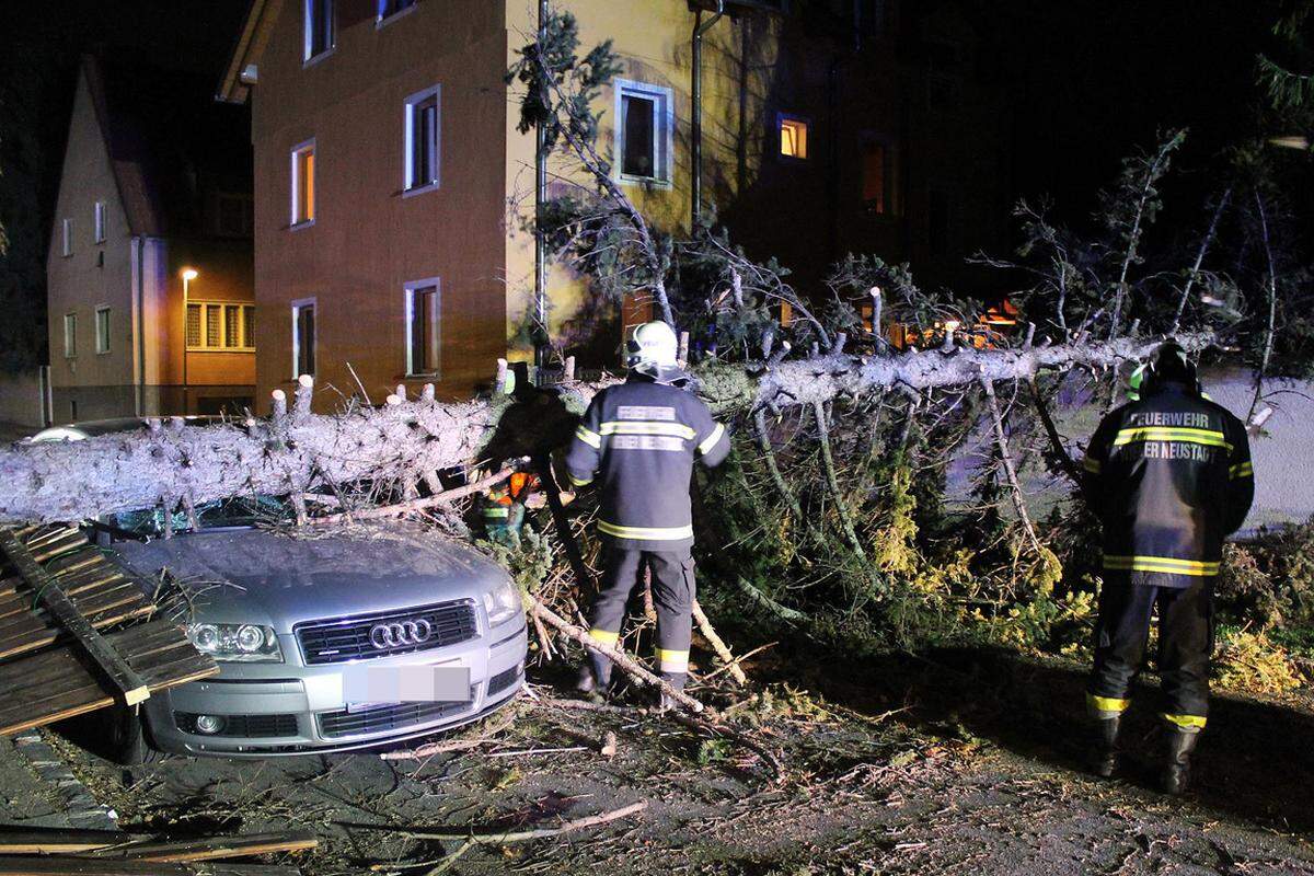 Ein weiterer umgestürzter Baum beschädigte in Wiener Neustadt ein geparktes Auto.