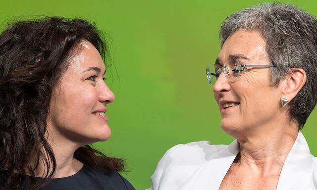 Das Grüne Führungsduo Felipe und Lunacek sucht nach einer neuen Jugend-Parteiorganisation.