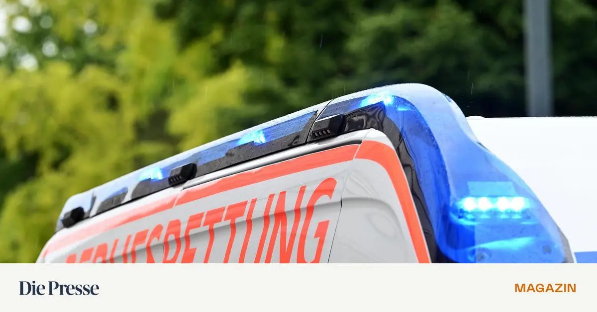 Rettung-lie-Frau-zur-ck-sie-starb-OGH-nimmt-Sanit-ter-in-die-Pflicht-premium-
