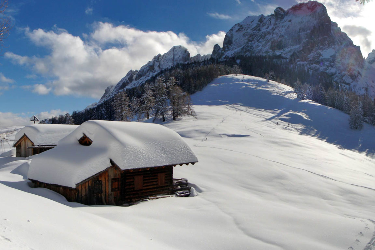 Wenn die Ski einmal einen Tag pausieren: in den Wald wandern und mit Jägern und Rangern Tierspuren folgen.