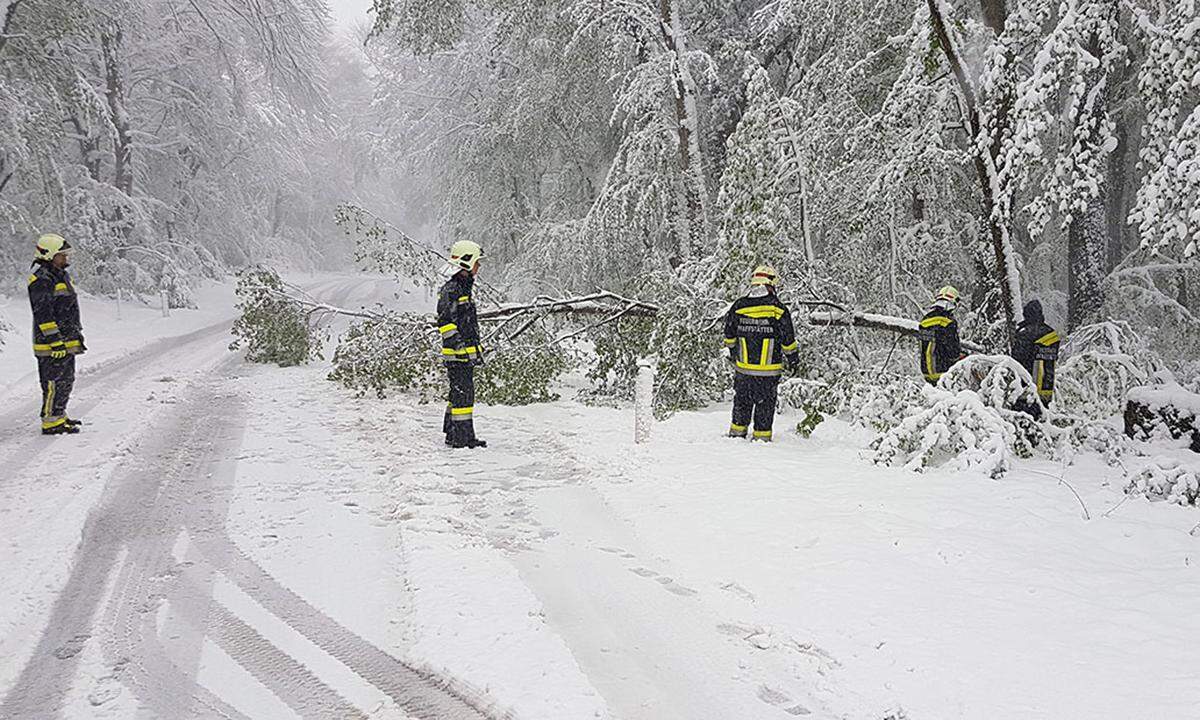 Der große Schneefall ist nun überstanden, er sorgte am Mittwoch aber für ein Chaos auf manchen Straßen. Besonders betroffen war auch der Bezirk St. Pölten.