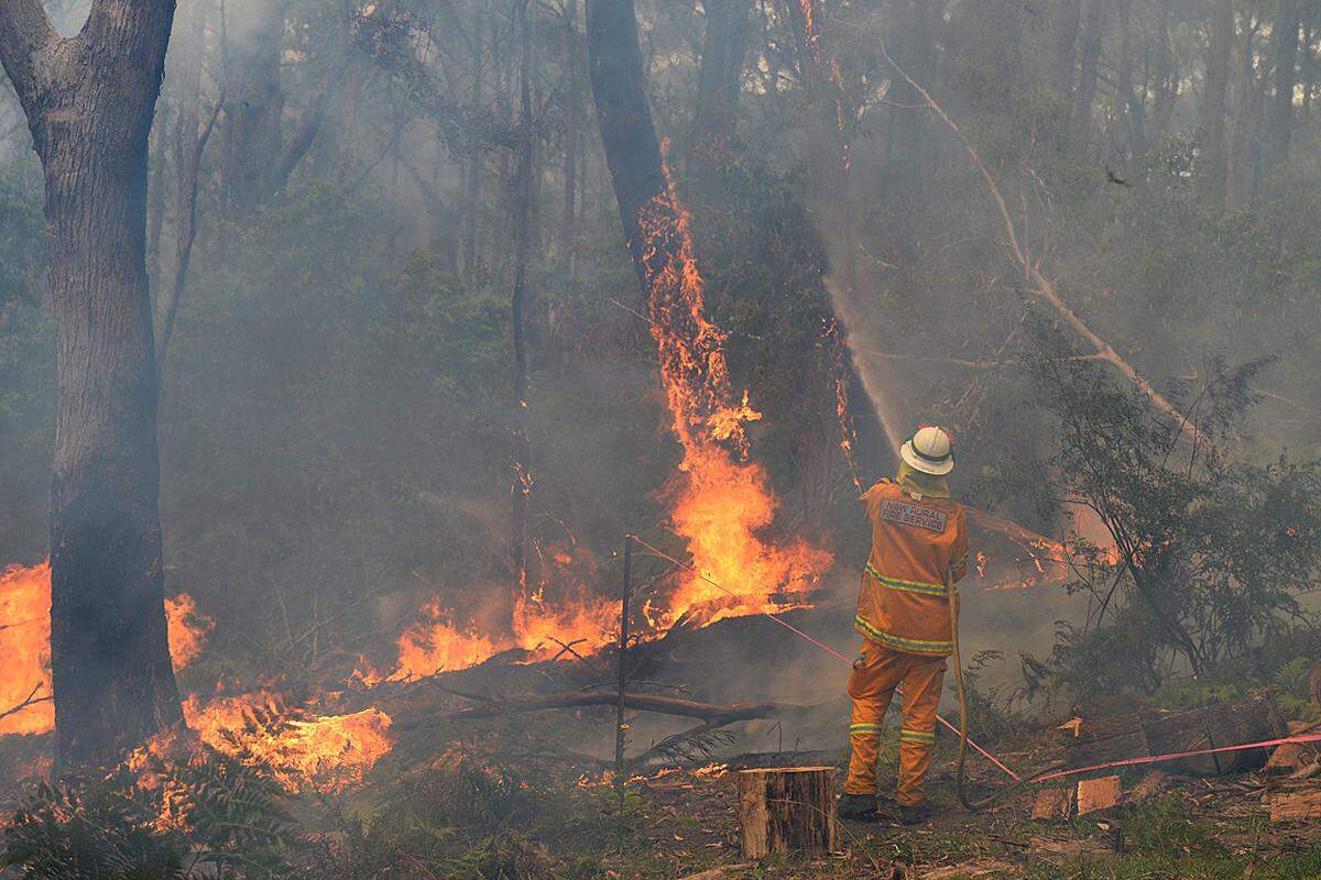 126.000 Hektar verbranntes Buschland, 200 zerstörte Hääuser, zwei Tote: Das ist die Bilanz der verheerenden Brände im Südosten Australiens. Die Feuerwehr ist im Dauereinsatz, denn 50 Feuer müssen noch gelöscht werden. Es wird allerdings von einer Entspannung der Lage gesprochen.