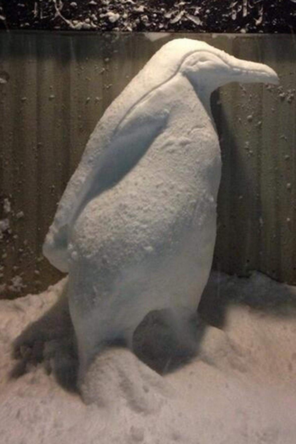 Das bedeutet normalerweise: drei unterschiedliche Schneekugeln, zwei Steine und eine Karotte. Viele Japaner haben sich allerdings deutlich mehr Mühe gegeben. Dieser Pinguin hat sich wohl aus der Antarktis nach Tokio verirrt.