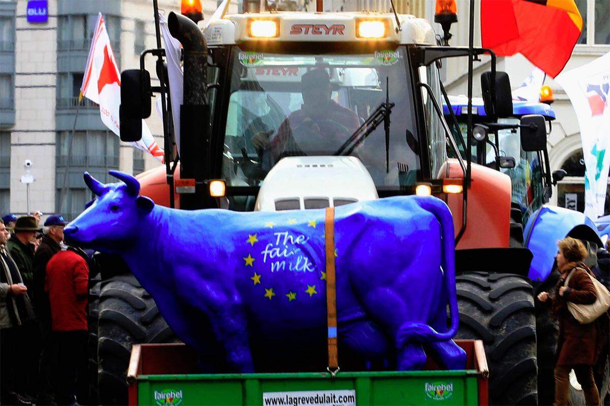 Auch aus Österreich waren rund 60 Betroffene dabei, wie Erna Feldhofer, Obfrau der IG Milch, erklärte.