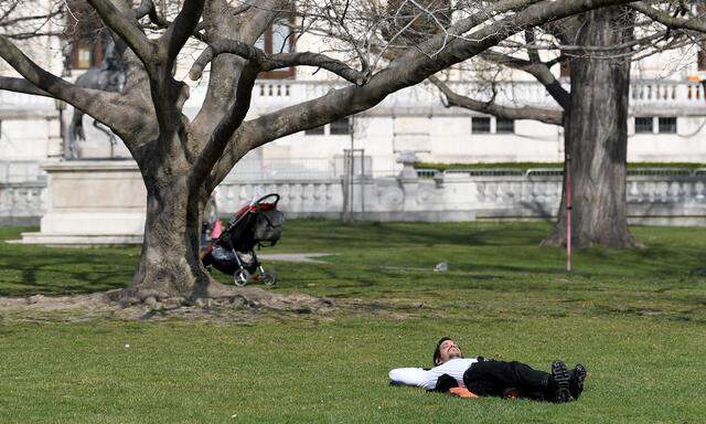 Natur genießen: Frühlingsbeginn in einem Wiener Park.