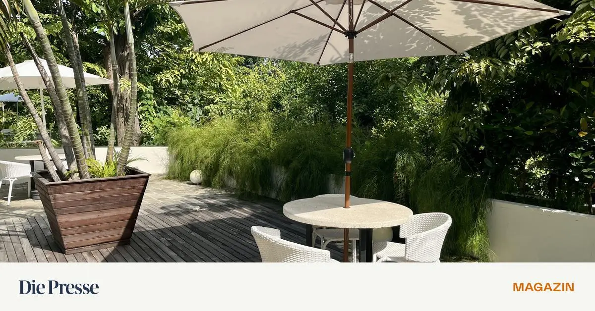 Sonnenschutz-Ein-Baum-k-hlt-die-Luft-ein-Schirm-ist-flexibel-premium-
