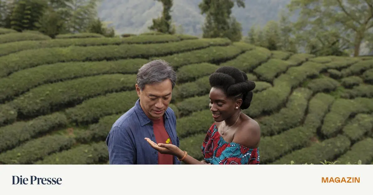 -Black-Tea-Afrika-und-China-eine-bilaterale-Liebesbeziehung-premium-